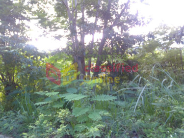 FAIRFIELD ESTATE  LOTS FOR SALE (LOTS ARE STEEP)