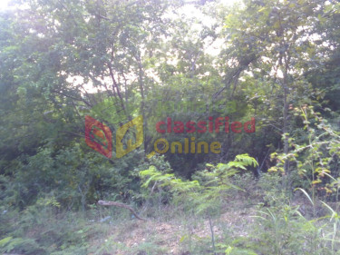 FAIRFIELD ESTATE  LOTS FOR SALE (LOTS ARE STEEP)