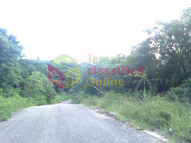 FAIRFIELD ESTATE  LOTS FOR SALE (LOTS ARE STEEP)