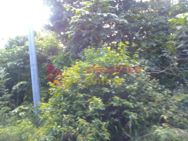 FAIRFIELD ESTATE  LOTS FOR SALE (LOTS ARE STEEP)