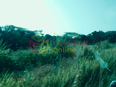 SHETTLEWOOD. 28 ACRES DEVELOPMENT OR FARM LAND