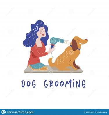 Dog Grooming Services 