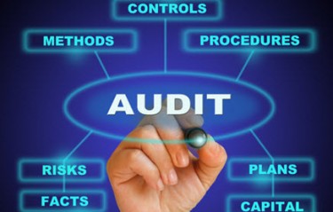 Auditing Services 50% Discount Tax Season