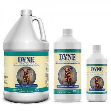 Dyne - Vitamin Supplements For Dogs And Puppies 