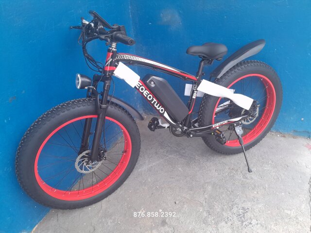 Electric Bicycle