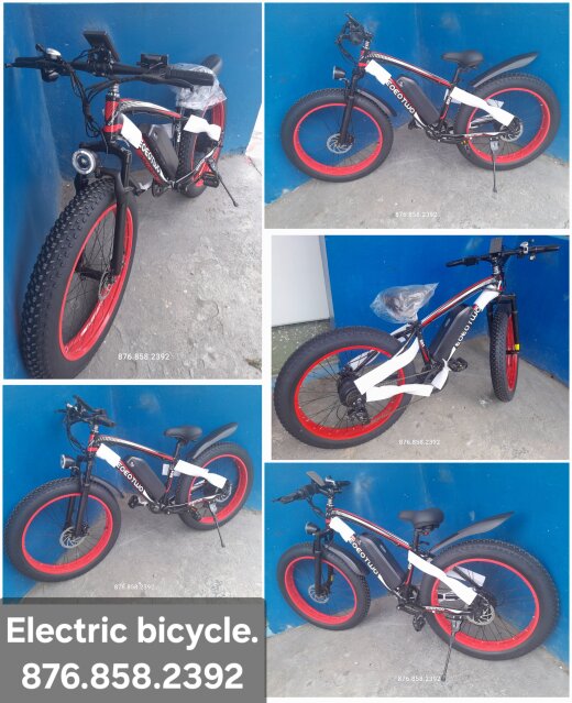 Electric Bicycle