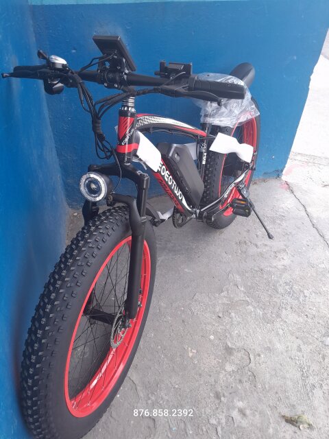 Electric Bicycle