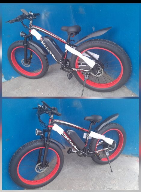 Electric Bicycle