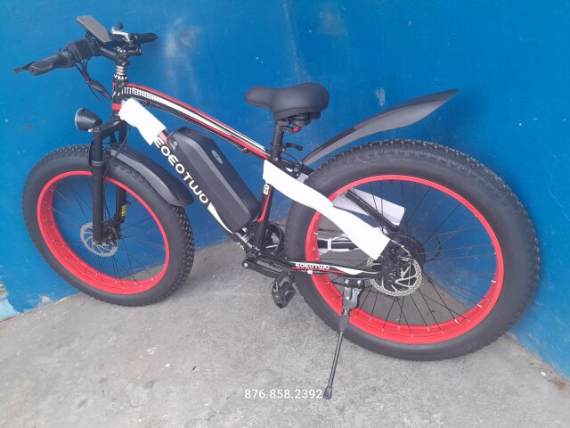 Electric Bicycle