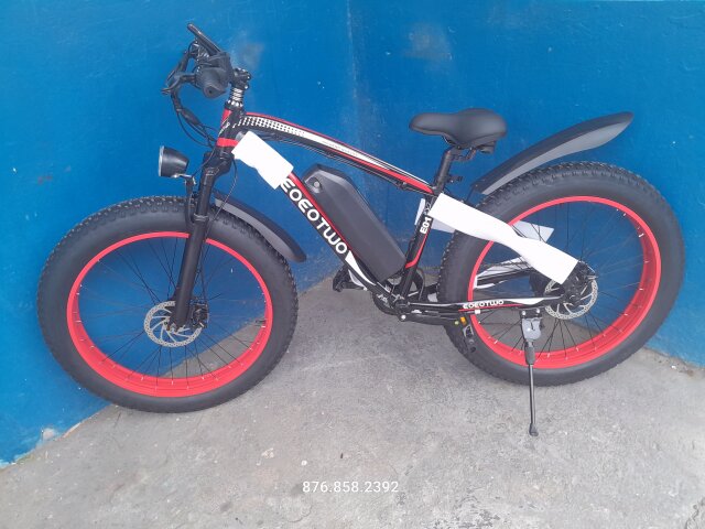 Electric Bicycle