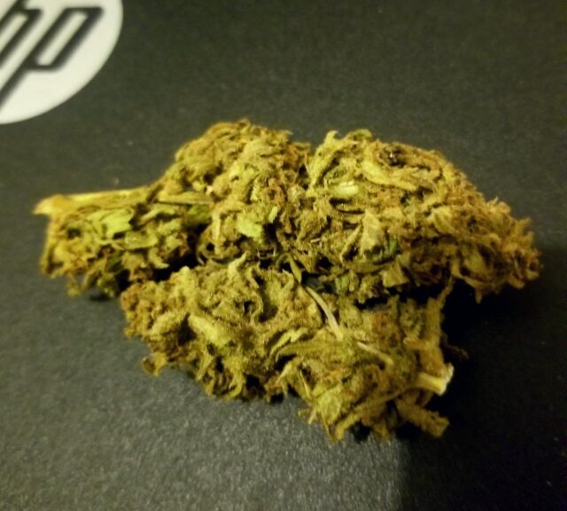 CANNABIS! WHITE ICE SATIVA GOODS✨