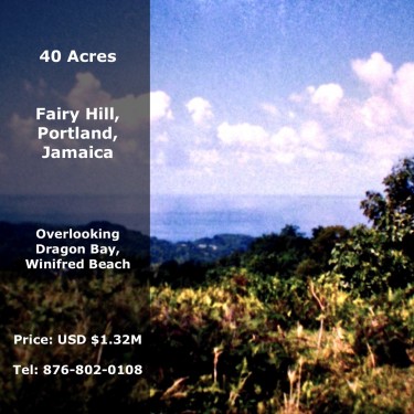40 Acres Of Land In Fairy Hill, Portland
