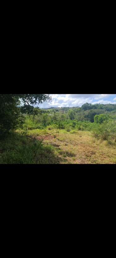 Three 1/4 Acres Of Land For Lease $18,000.00 Each.