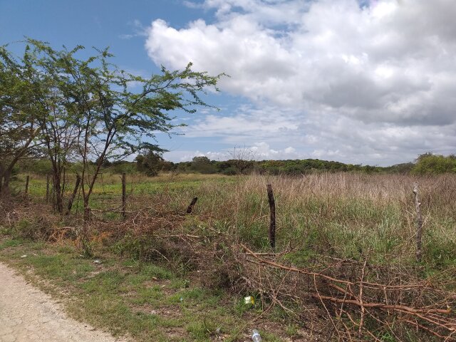 5 Acres Land For Sale