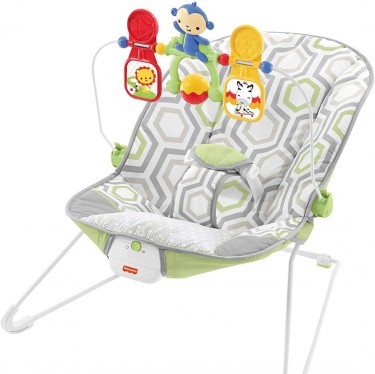 Fisher Price Baby Bouncer $4,000
