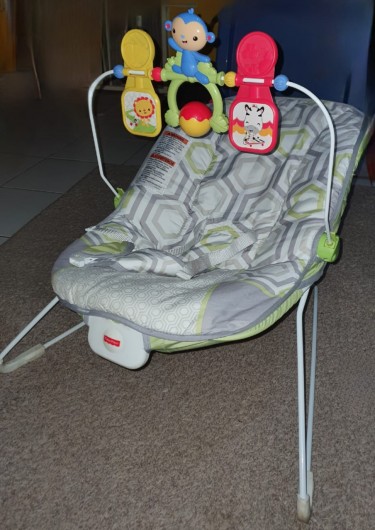 Fisher Price Baby Bouncer $4,000