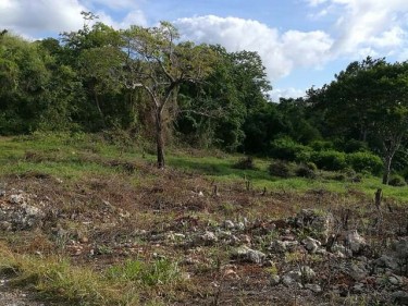 Over 1/4 Acres Of Land For Sale 