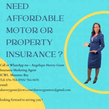 Motor Vehicle And Property Insurance Other Market Mammee Bay