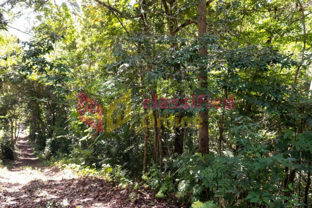 18 Acres Of Land In Lime Hall Land Lime Hall