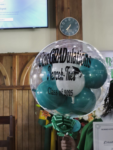 Balloon Decor For All Celebrations. 