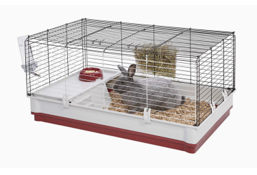 Large Bunny Rabbit Or Hamster Home