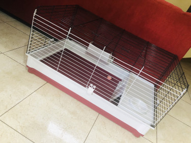 Large Bunny Rabbit Or Hamster Home