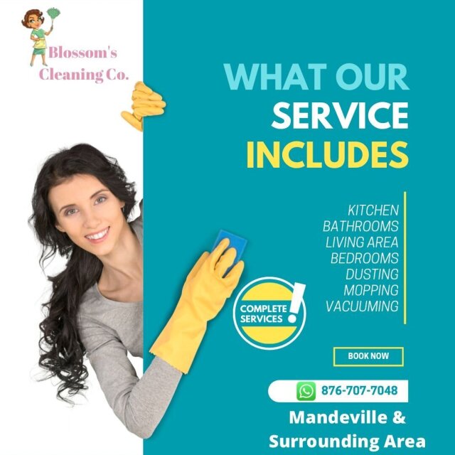 Cleaning Services