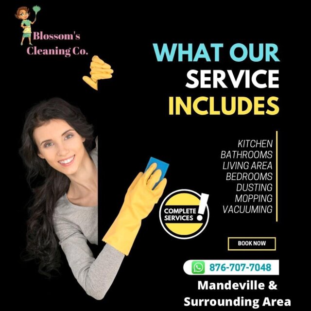 Cleaning Services