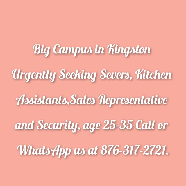 Jobs Available. WhatsApp Us At 876-317-2721