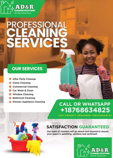 We Provide Professional Cleaning Service