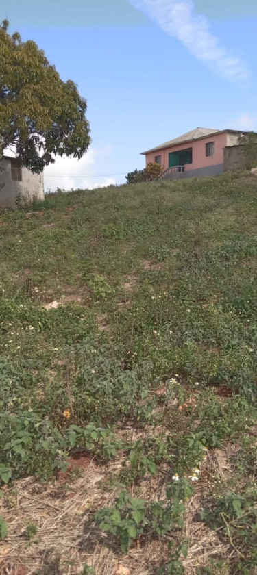 1 And 1/4 Acres Of Land Land Bellevue