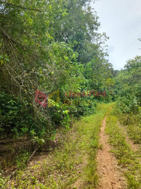 5 Acres Of Land In Ocean Ridge/ Spring Valley Land Ocean Ridge