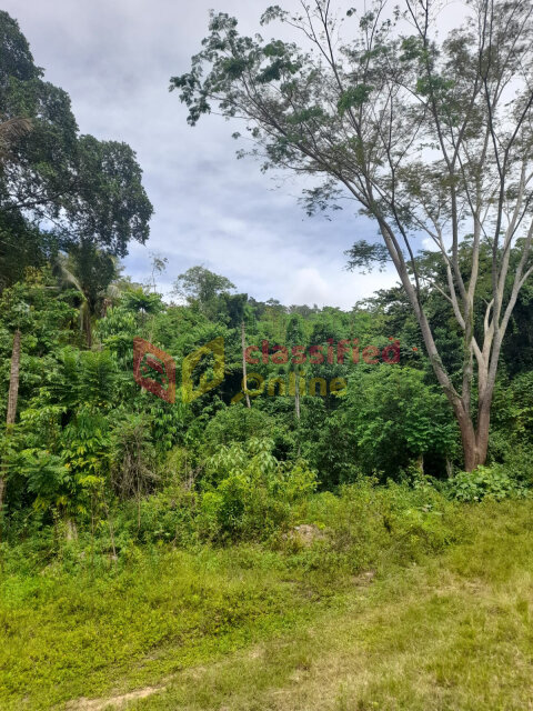 5 Acres Of Land In Ocean Ridge/ Spring Valley