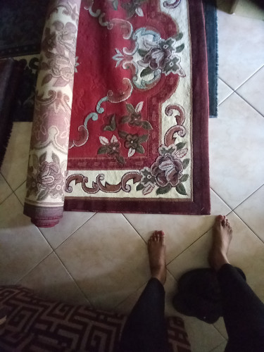 Carpet For Sale Very Nice Only Use Once