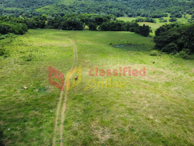9.6 Acres Land Hyde & Gibraltar, Clarkes Town