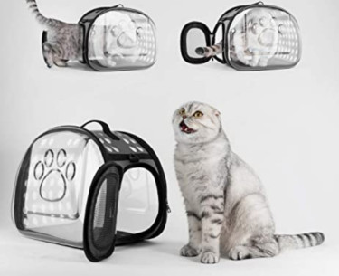 Transparent Pet Carrier 