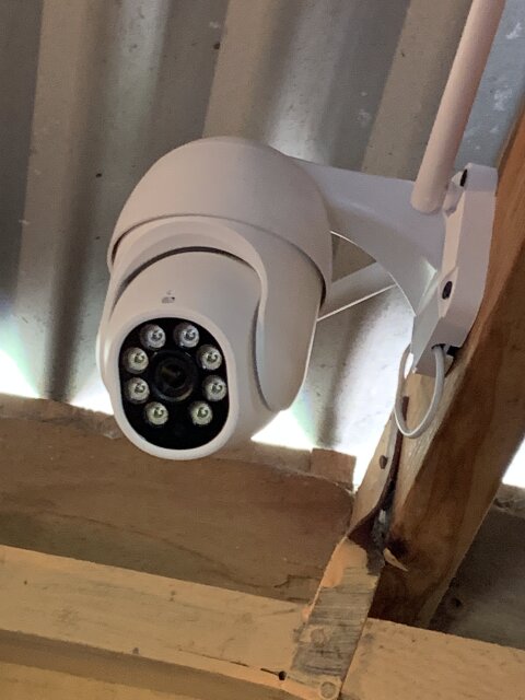 Surveillance
