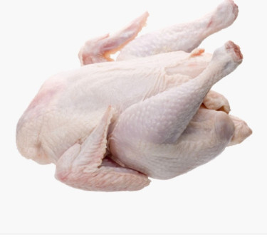 Fresh Poultry Meat 