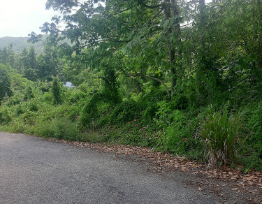 1.0177 Acres Residential Land