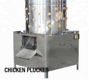 Chicken Plucker Jamaica