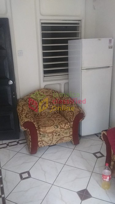 Furnished 1 Bedroom And 1 Bathroom