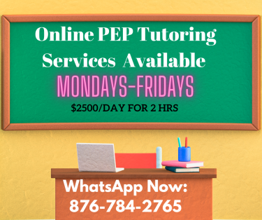 Online PEP Tutoring Services 