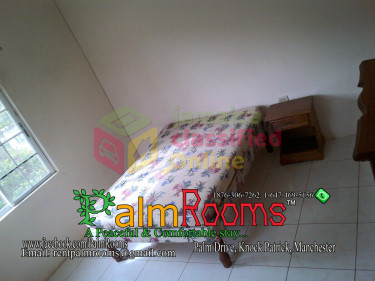 2 Bedroom + 1 Bathroom Furnished Apartment