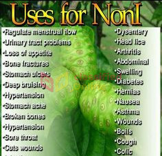 NONI JUICE 100% - BENEFIT SKIN