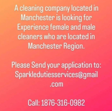 Cleaning Company 