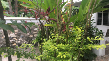 3 Bedrooms Home In A Garden