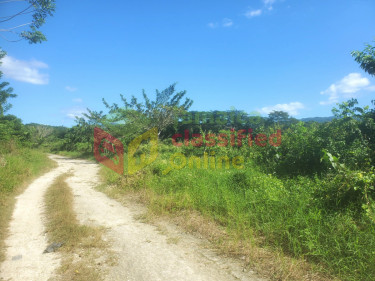 Land For Development Sweet River
