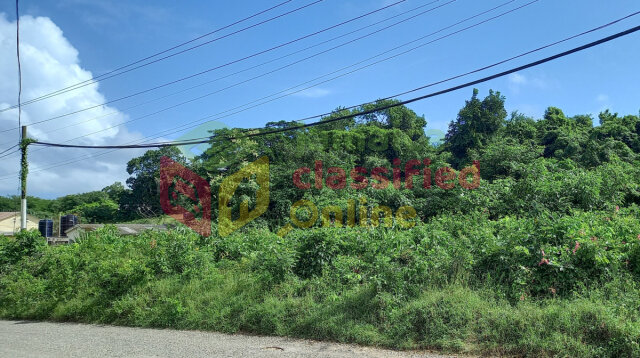2 Acres Of Land Land Goodwill