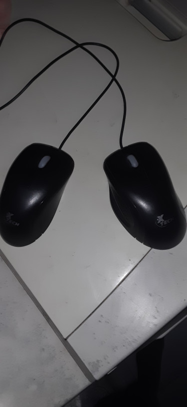 XTECH Office Mouse XTECH XTM175 For Sale (Used)