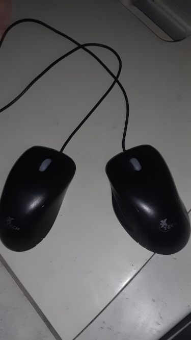 XTECH Office Mouse XTECH XTM175 For Sale (Used)